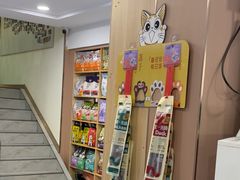 -天使宠物医院·犬猫分诊(彩虹店)