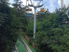 -富斯特索道