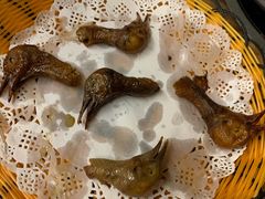 -百利鸽王(紫薇路店)