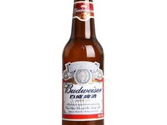 百威-33韩式自助烧烤(环城南路店)