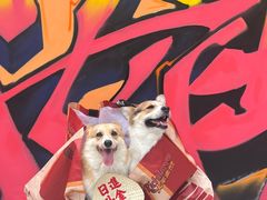 -大芊金重庆串串火锅(南京路店)