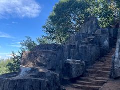 -长虫山生态公园风景林