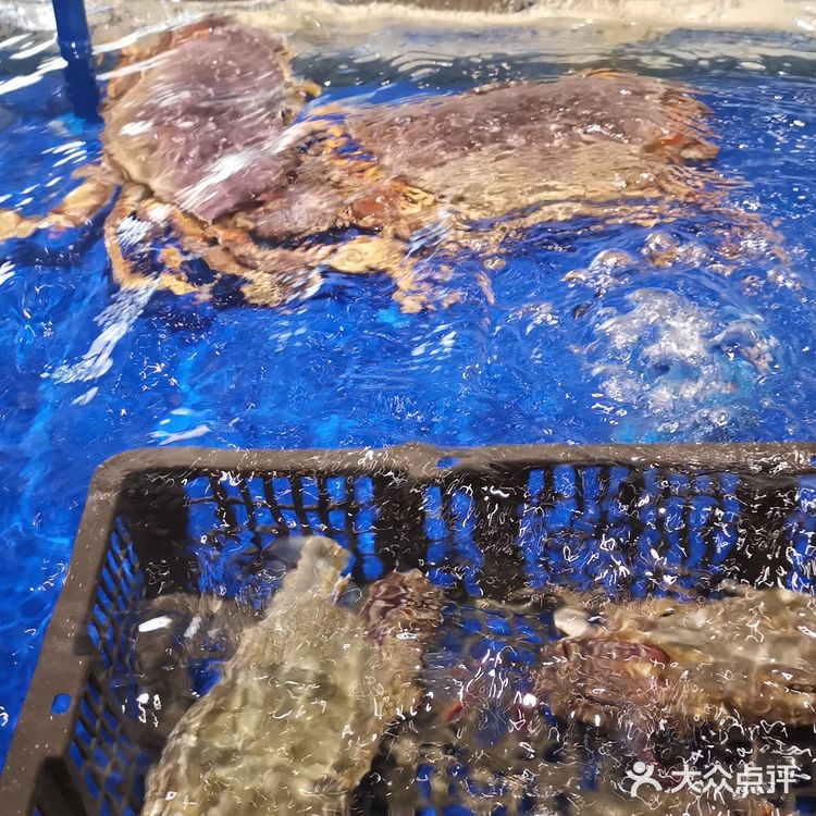 加了番茄和海南黄灯笼椒，味道很特别，汤还鲜香
