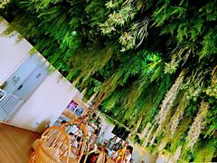 -Husky Go! 哈士奇体验馆·宠物咖啡厅狗咖