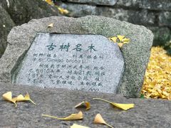 -无锡惠山寺
