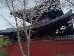 -广富林郊野公园