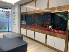 -牙博士口腔品牌连锁(杨浦店)