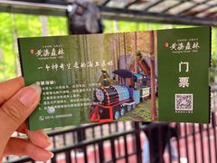 -黄海国家森林公园
