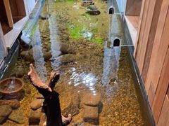 -邈墨茶馆(凤起路店)