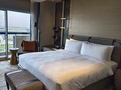 -新加坡瑞士史丹福酒店