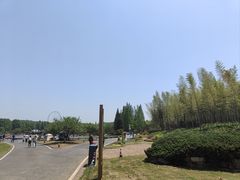 -宜兴龙背山森林公园