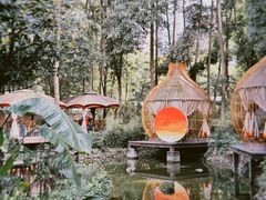 -二荆条·蜀鲜汇城市森林火锅