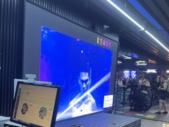 -宝体健身会(宝安体育馆店)