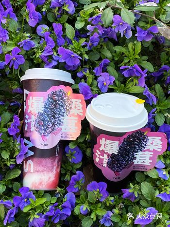 满杯爆汁桑葚今年春天的最大期待