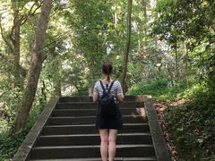 -峨眉山报国寺