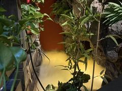 -金指缘足浴(望园路旗舰店)