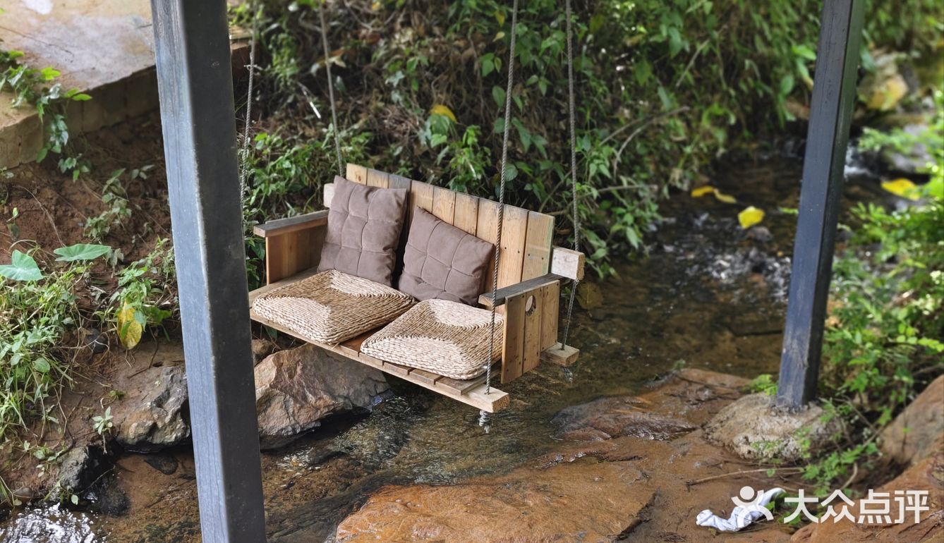 森林中的休闲时光