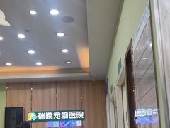 -瑞鹏宠物医院·夜间急症·心超·猫科(祖庙分店)