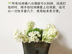 -福孕妈妈家政•月嫂育儿嫂保姆