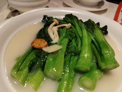 白灼菜心-虾饺妹·酒家(金碧店)