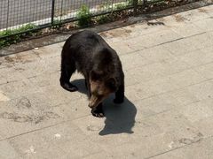 -大连森林动物园