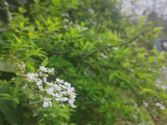 -阿哈湖国家湿地公园
