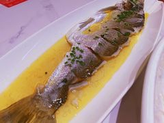 -至尊鲨鱼·原烹海鲜·新浙菜(拱宸桥店)