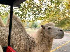 -杭州野生动物世界