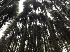 -山王坪喀斯特国家生态公园