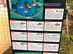 -酷鱼垂钓CLUB(朝阳区博大路店 )