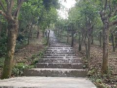 -广州市帽峰山景区