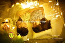 点击看大图 -巴黎新娘婚纱摄影·婚礼策划(嘉定总店)