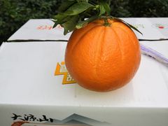 -别院里音乐餐酒吧(双流航空港店)