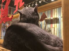 -小时光咖啡馆(开森度假森林店)