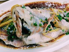 清蒸红宝石鱼-忆海南海鲜(椰风巷第一市场店)