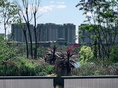 -五甲塘生态湿地公园