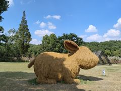 -嘉北郊野公园