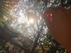 -郑和公园