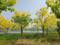 -东郊湿地公园