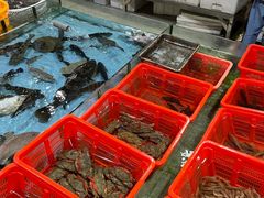 -隆都四季香饭店(碧海路店)