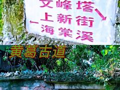 -南山植物园