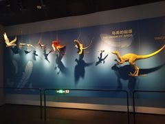 -自贡恐龙博物馆