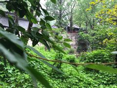 -阳台山自然风景区