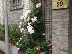 -四喜小胖·北京涮肉(五道营店)