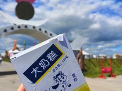 -呼伦贝尔大草原巴尔虎蒙古部落民俗旅游度假景区