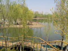 -东郊湿地公园