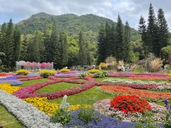 -深圳仙湖植物园