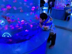 -重庆欢乐海底世界