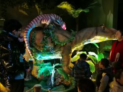 -恐龙探索乐园(磁器口店)