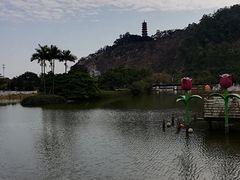 -南沙蒲洲花园
